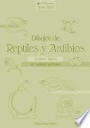 libro Dibujos De Reptiles Y Anfibios